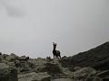 20080726_adula_michi 033